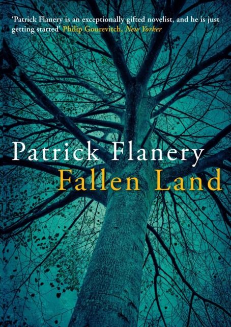 Falling Fallen Book Fallen Book Cover Model